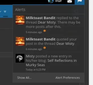 misty.webp