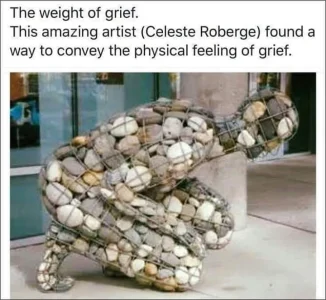 FB_IMG_1568762967681.webp