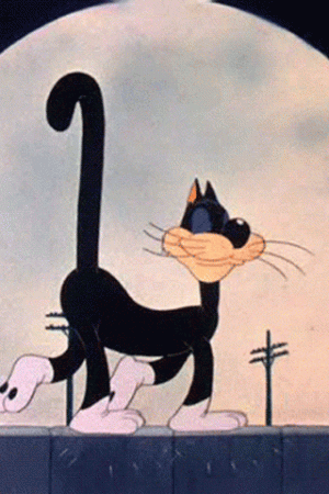 38E40BFE-C583-465E-B2DB-DA05A1943562.gif