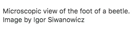 Screen Shot 2019-11-08 at 6.16.38 PM.webp