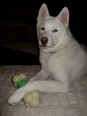 Zephyr-8-months.webp