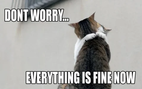 hug_cats_fine.webp