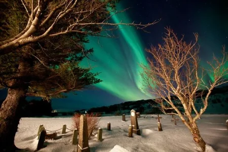 aurora-borealis-january-2012-cemetery_47819_600x450.webp