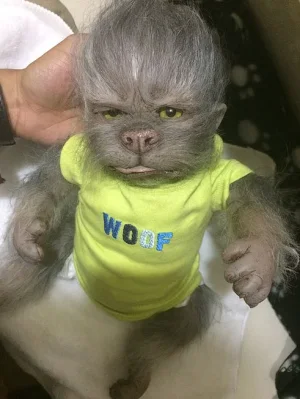 Werepups.webp