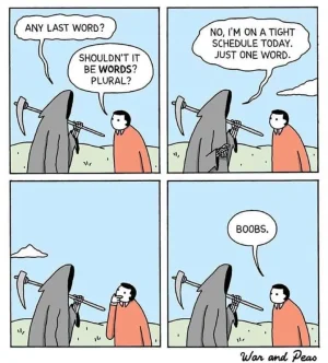 69540679_2500581330004151_3986509328986144768_n.webp