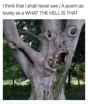 82832393_10156601297385759_5201061737389883392_n.webp