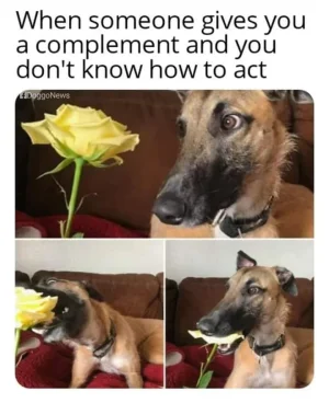86977586_2788559704570655_8305274841204785152_n.webp