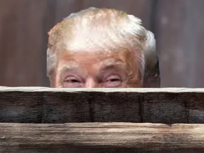 DonaldTrumpPeeking.webp