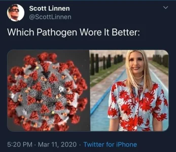 89397468_234816664308672_8408958237948248064_o.webp