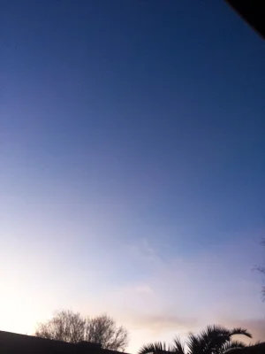 4783231F-AA23-4F79-B9D1-6E65C82EBFA9.webp