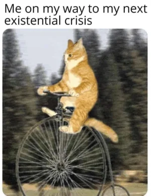 91523152_1585705981591464_4891675761087348736_o.webp