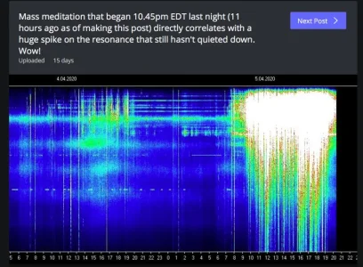 Screen Shot 2020-04-20 at 8.36.28 AM.webp