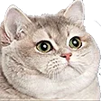 379737925778407424.webp
