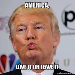 america-love-it-yx2k2x.webp