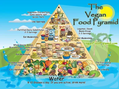 vegan-pyramid-1024x768.webp