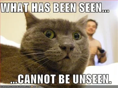 funny-pictures-scared-cat-naked-guy.webp