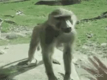 98efdba10f8cc220d1eeed3c6c2f37f7.gif