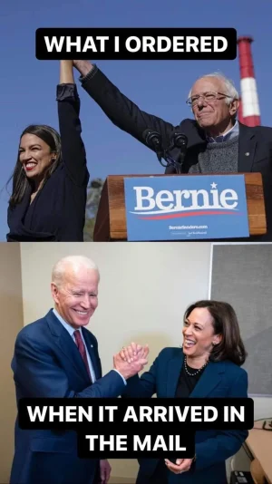 Bernie.webp