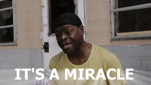 giphy (5).gif