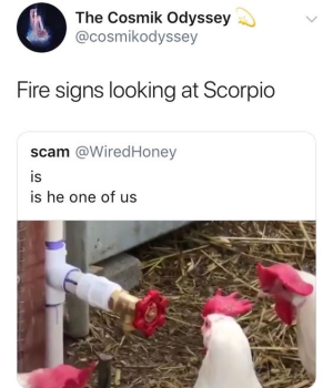 Astrology-Meme-Scorpio scamming chickens.png