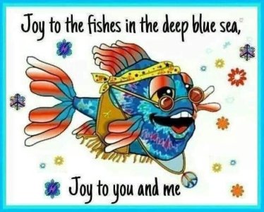 FB_IMG_1625754439806.jpg