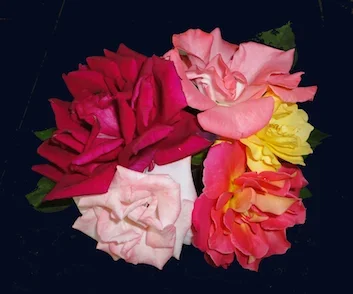 roseboquet.webp