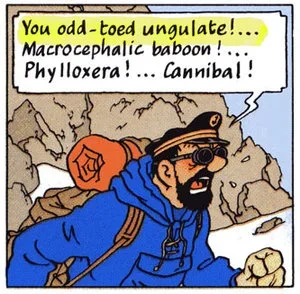 captainhaddock.webp