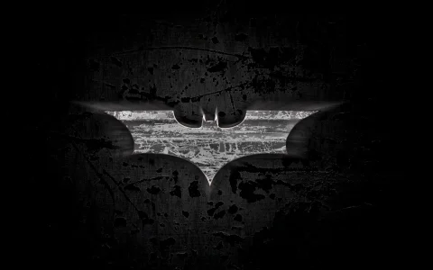 the_dark_knight_wallpaper_by_xanjineko-d32jg2h.webp