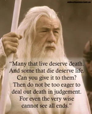 150237337539056262_58S8JR6Q_f.webp
