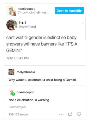 Gemini Baby Reveal zodiac.jpg