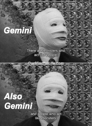 Funny-Gemini-memes-that-totally-get-it-OurMindfulLife.com-21.jpg