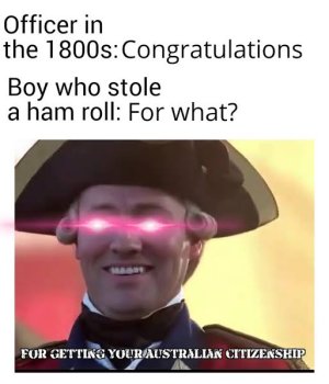 images (15).jpeg