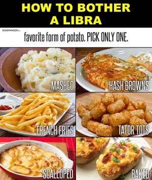 libra____.jpg