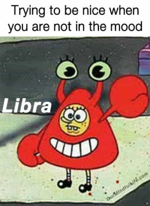 Hilarious-Libra-memes-.jpg