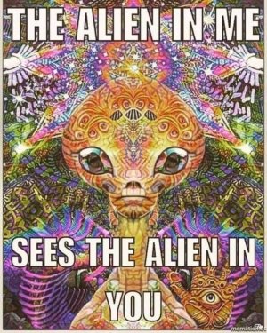 the alien in me sees the alien in you.jpg