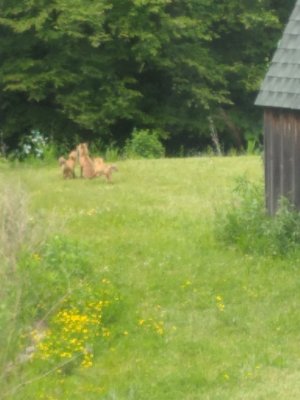 20220608_120221.jpg