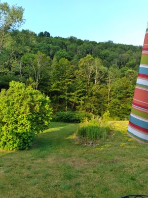 20220721_070739.jpg