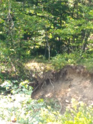 20220801_095441.jpg