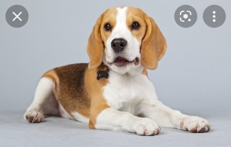 Screenshot_20220823-082846_Chrome.jpg