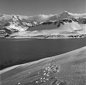 00070 edited Mt Paget from KEP Hillside.jpg