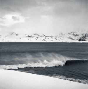 00370 edited Storm Wave, KEP.jpg