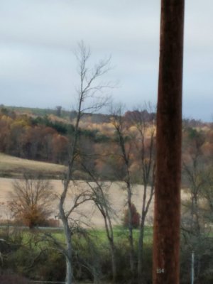 20221024_170849.jpg