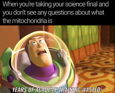 74c.png