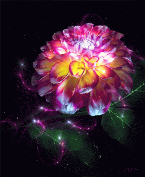 itisflower.gif