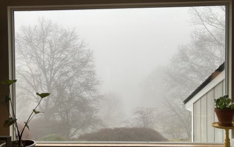 socked in.jpg