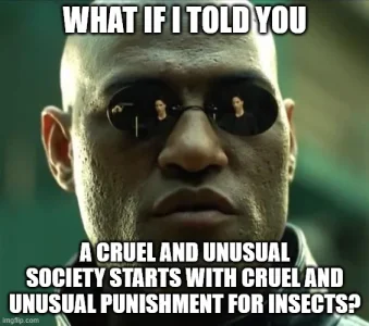 Cruel and Unusual Insects.webp
