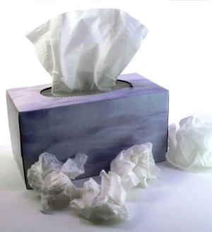 tissues.webp
