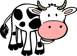cow_chewing.webp