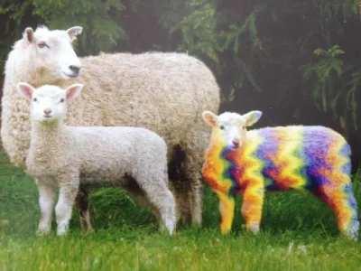 rainbow-sheep.webp