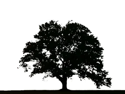 Tree_logo.webp